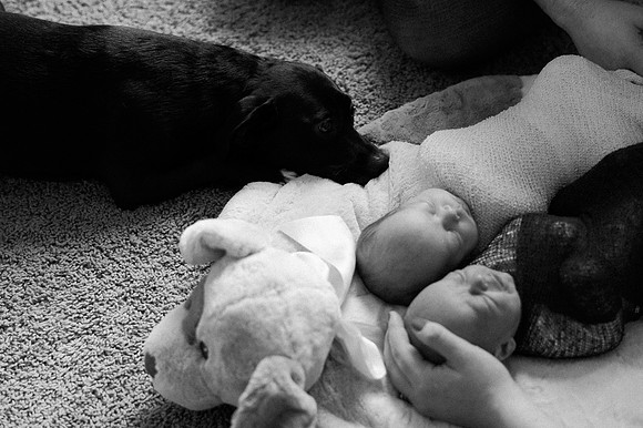 Hartwig Newborn