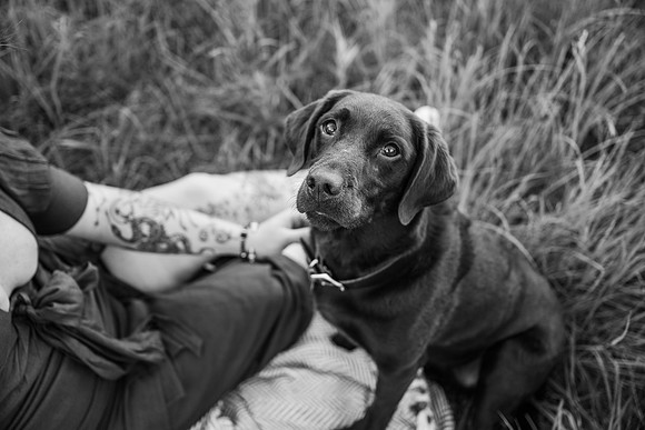 Charlie Puppy Photos
