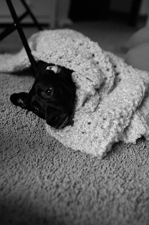 Hartwig Newborn