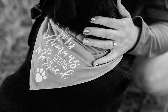 Gregorich Engagement