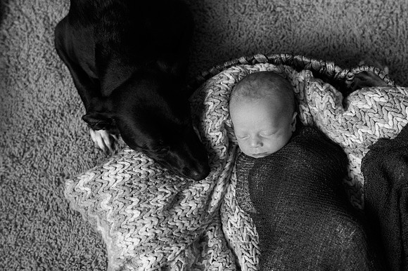 Hartwig Newborn