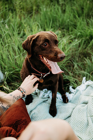 Charlie Puppy Photos