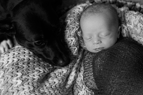 Hartwig Newborn