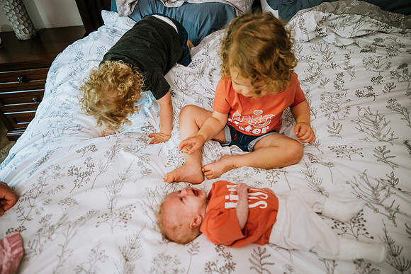 Hartwig Family 2024