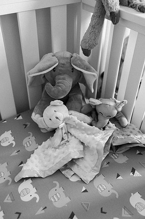Hartwig Newborn