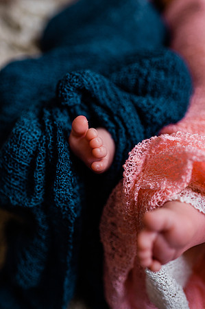 Hartwig Newborn