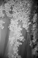Valley Wedding