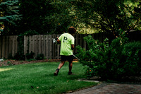 Professional Lawn and Snow