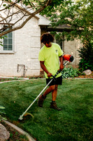 Professional Lawn and Snow