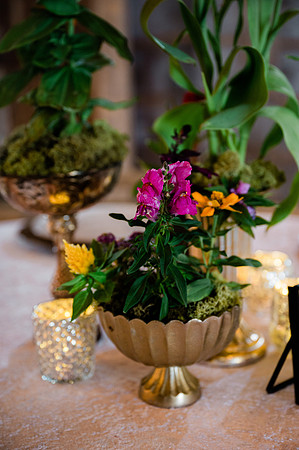 Woelfel Homestead Styled Shoot