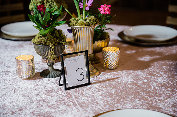 Woelfel Homestead Styled Shoot