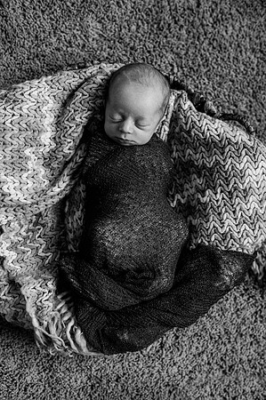 Hartwig Newborn