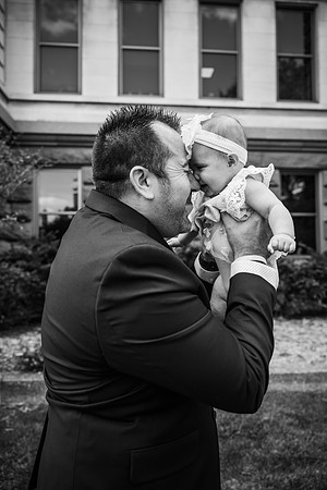 Alexander-Wolf Adoption