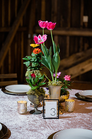 Woelfel Homestead Styled Shoot