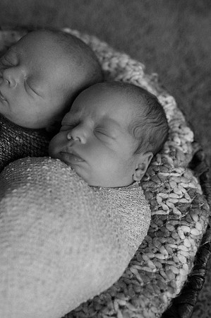 Hartwig Newborn