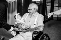 Alexander-Wolf Adoption
