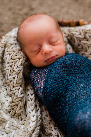 Hartwig Newborn
