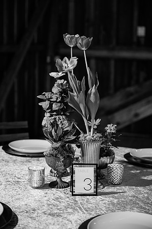 Woelfel Homestead Styled Shoot