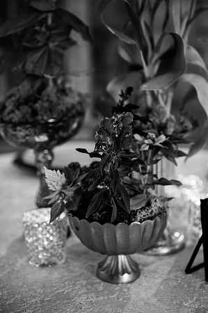 Woelfel Homestead Styled Shoot