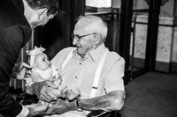Alexander-Wolf Adoption