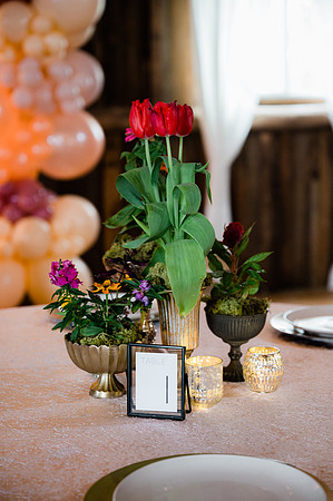 Woelfel Homestead Styled Shoot