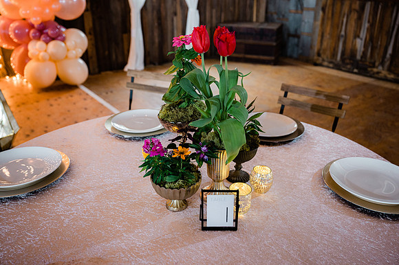Woelfel Homestead Styled Shoot