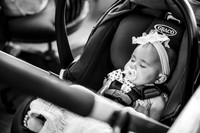 Alexander-Wolf Adoption