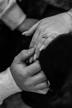 Rupiper Engagement