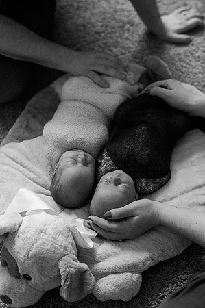Hartwig Newborn