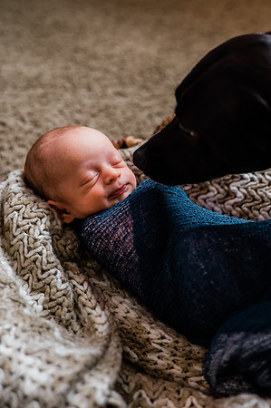 Hartwig Newborn