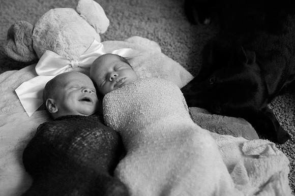 Hartwig Newborn