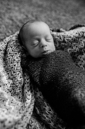 Hartwig Newborn