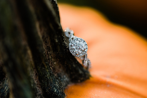 Gregorich Engagement