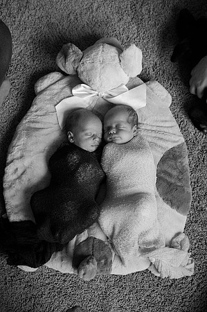 Hartwig Newborn
