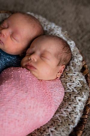 Hartwig Newborn