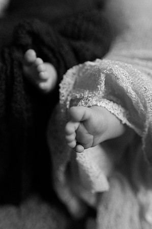 Hartwig Newborn