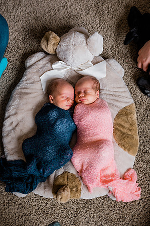 Hartwig Newborn