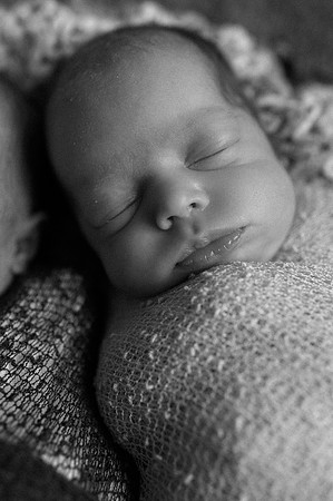 Hartwig Newborn