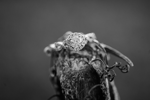 Gregorich Engagement