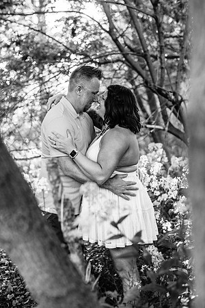 Schickert Engagement