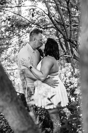 Schickert Engagement