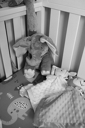 Hartwig Newborn