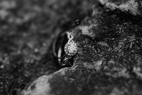 Gregorich Engagement