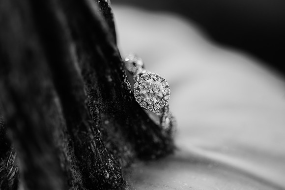 Gregorich Engagement