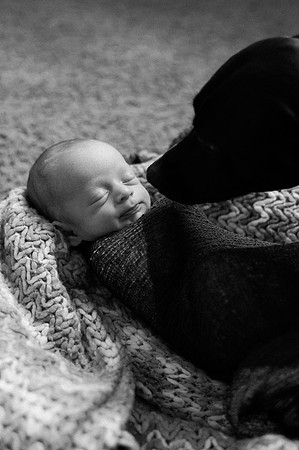 Hartwig Newborn
