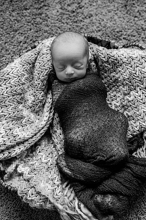 Hartwig Newborn