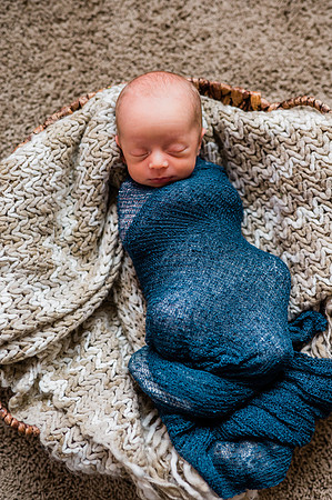Hartwig Newborn