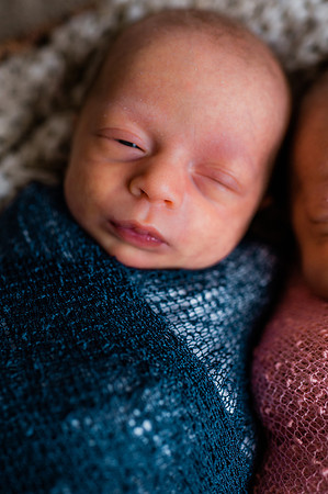 Hartwig Newborn