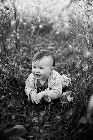 "Appleton Photographer", "Appleton Wedding Photography", "Chicago Photographer", "Colorado Photographer", "Denver Photographer", "Family Photography", "Family Photos", "Fond du Lac Photographer", "Gre