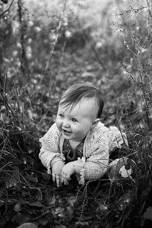 "Appleton Photographer", "Appleton Wedding Photography", "Chicago Photographer", "Colorado Photographer", "Denver Photographer", "Family Photography", "Family Photos", "Fond du Lac Photographer", "Gre